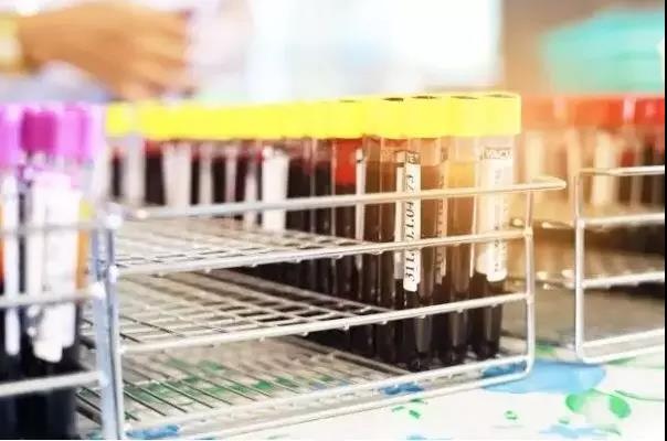 ҫ������-�Ƽ����ܳ���,�����ָ���Ȥ��