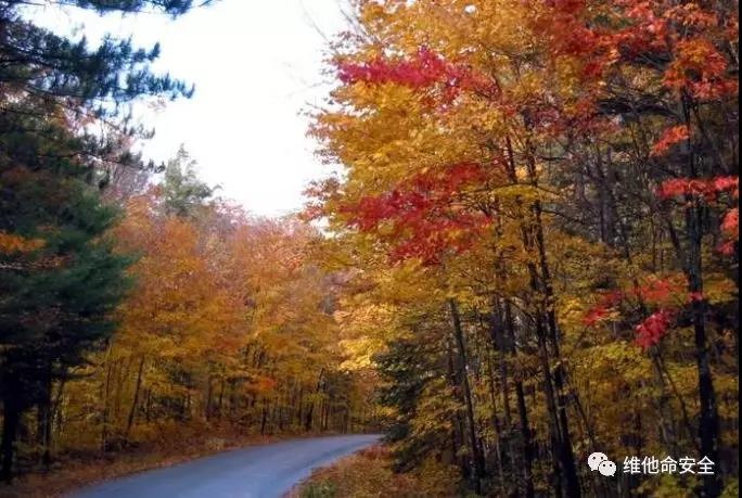 ҫ������-�Ƽ����ܳ���,�����ָ���Ȥ��