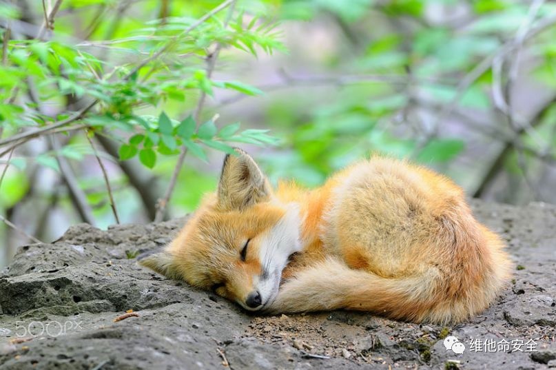 ҫ������-�Ƽ����ܳ���,�����ָ���Ȥ��